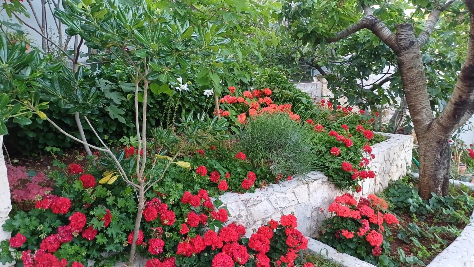 Apartments Jaksic Trogir Buitenkant foto
